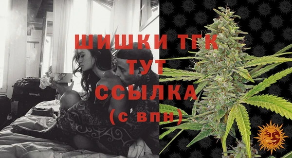 прущие грибы Дрезна
