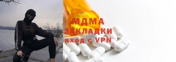 шишки Сосновый Бор