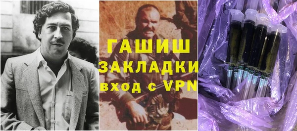 шишки Сосновый Бор