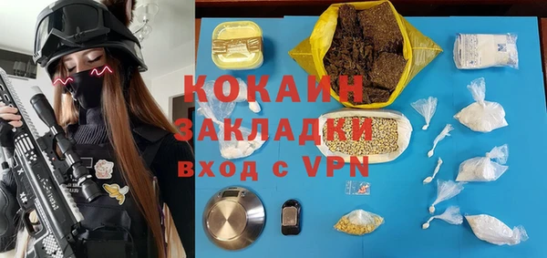 стаф Абинск
