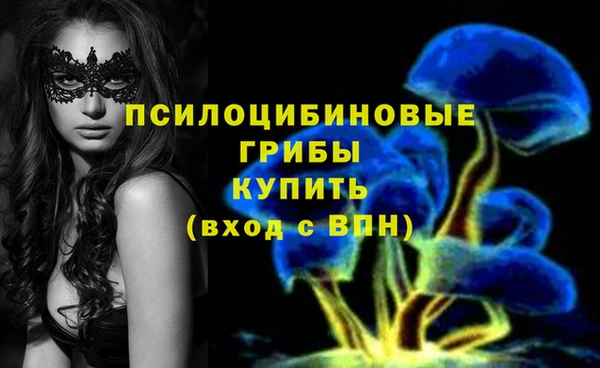 стаф Абинск