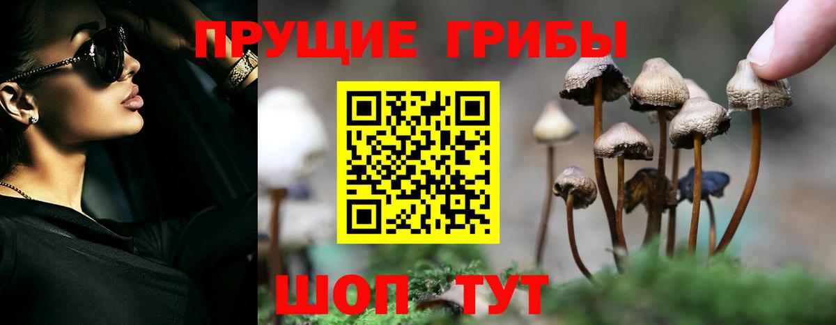 Азов  Псилоцибиновые грибы MAGIC MUSHROOMS  Вход с VPN 